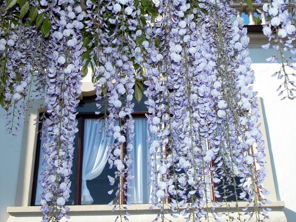 Hotel Du Parc Lake Maggiore Exteriér fotografie